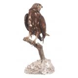 Professional Eurasian Honey Buzzard Taxidermy