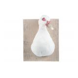 Domestic Farm Muscovy Duck Breast Mount Taxidermy