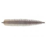 Professional King Cobra Skin Taxidermy w/ Head