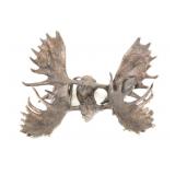 Dick Idol Whitefish, MT Bronze Moose Antler Table
