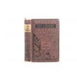 'Life and Times of Daniel Boone' 1st Ed. 1884