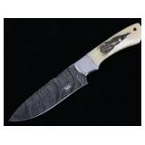 Montana Territory Buffalo Scrimshaw Damascus Knife
