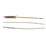 Sioux Polychrome Painted Arrows c. 1850-1880 (3)
