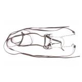 Crockett Renalde Bit & Rosette Studded Headstall