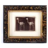 Original Black & White Horse Skeleton Framed Photo