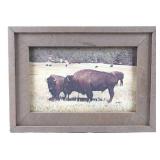 Yellowstone Park Buffalo Framed Photograph