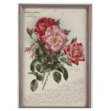 1905 Lapeyre Bros Great Falls Adv. by Songpie