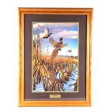 "Royal Flush" Hayden Lambson Signed & Numbered