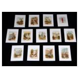 1890 Collection Yosemite Chromolithographs