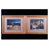 Denver Bryan Elk & Deer Wildlife Framed Photograph