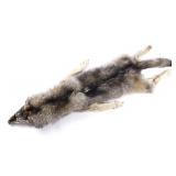 Tanned Montana Grey Wolf Hide