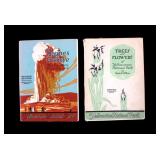 Yellowstone National Park Book Collection