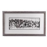 H. Schnitzmeyer Elk on US Bison Reserve Photo