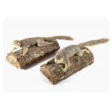 Pair Of Taxidermy Squirrels Mounts On Logs