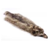 Montana Raccoon Fur Hide