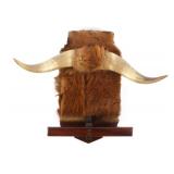 Steer Horn & Cowhide Coat or Hat Rack