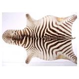 Taxidermy Zebra Hide Pelt Rug