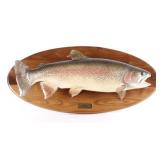 Large Montana Rainbow Trout Trophy Real Skin Mount