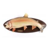 Trophy Yellowstone Cutthroat Trout Mount