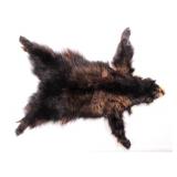 Montana Black Bear Tanned Hide