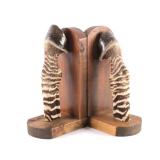 Taxidermy Zebra Leg Bookends