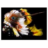 Award Winning Polychrome Ceremonial Head Dress