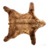 Kodiak Grizzly Brown Bear Trophy Rug RARE