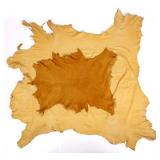 Two Fully-Groomed & Tanned Elk Hides