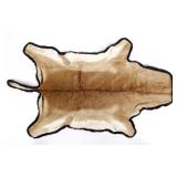 Pronghorn Antelope Taxidermy Rug Mount