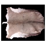 Montana Mule Deer Hide
