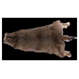 Whitetail Deer Taxidermy Pelt