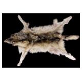 Taxidermy Arctic Wolf Pelt