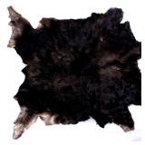 Montana Taxidermy Trophy Moose Hide