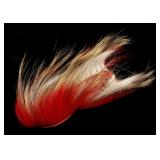 Crow Indian Porcupine Hair Roach Circa 1930-40