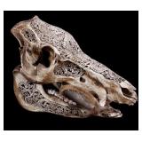 Hand Carved Chinese Boar Skull