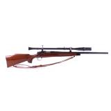 Remington Model 700 .223 Rem. Bolt Action Rifle
