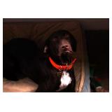 "Prospector" Bronze by Les Welliver 8/35