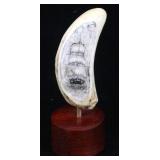 Ancient Sperm Whale Tooth Scrimshaw
