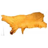 Montana Moose Tanned Hide