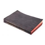 1900 Dr. Carl Toldt Anatomic Atlas Two Volume Set