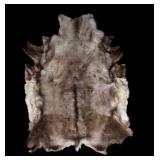 Professionally Tanned Caribou Hide