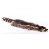 Large Montana Raccoon Fur Hide