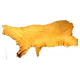 Montana Moose Tanned Hide