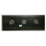 3  Buffalo Nickels in Granite Type display