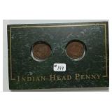 2 Indian Head Cents in Granite Type display