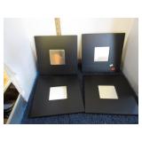 4-- 10 X 10  MIRROR TILES
