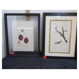 FRAMED BOOK PAGES OF INSECTS