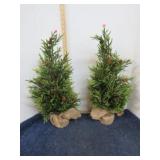 2-- FAUX PINE TREES