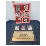 49ers CARD WALL DISPLAY
