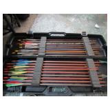 ASSORTED ARROWS & CASE